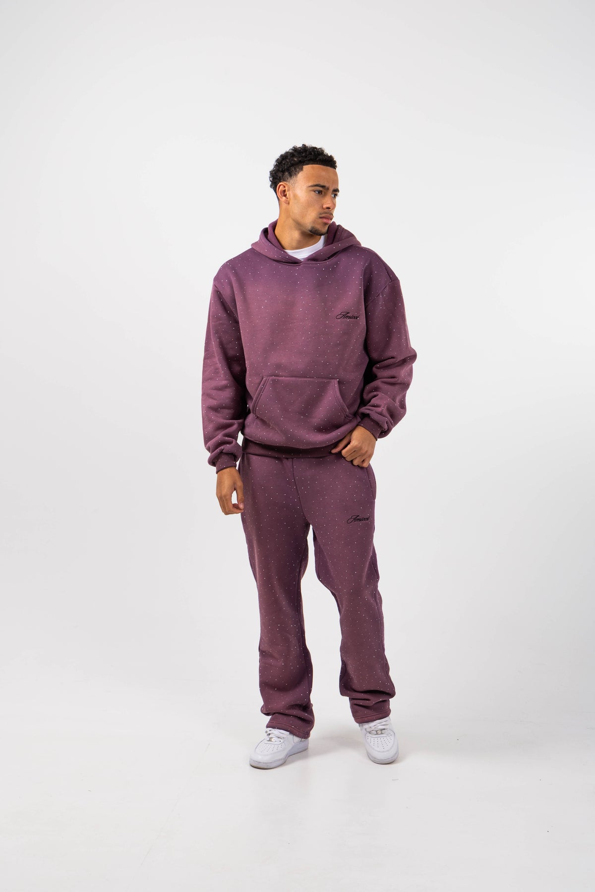 Massimo Embellished Hoodie Plum