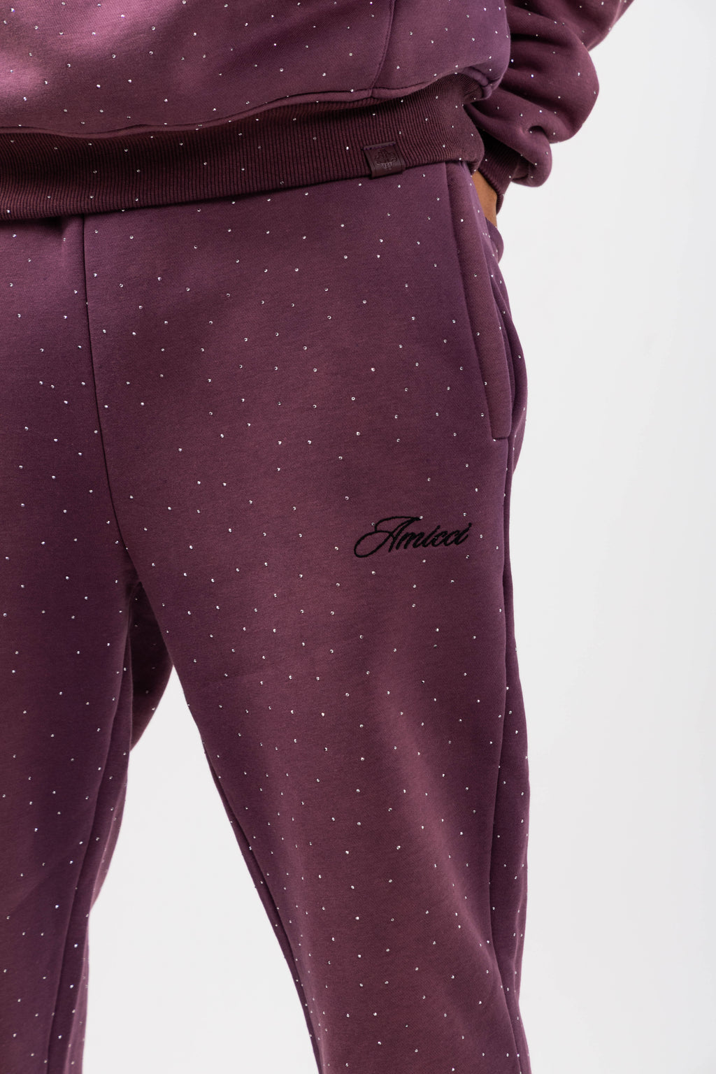 Massimo Embellished Plum Jogger