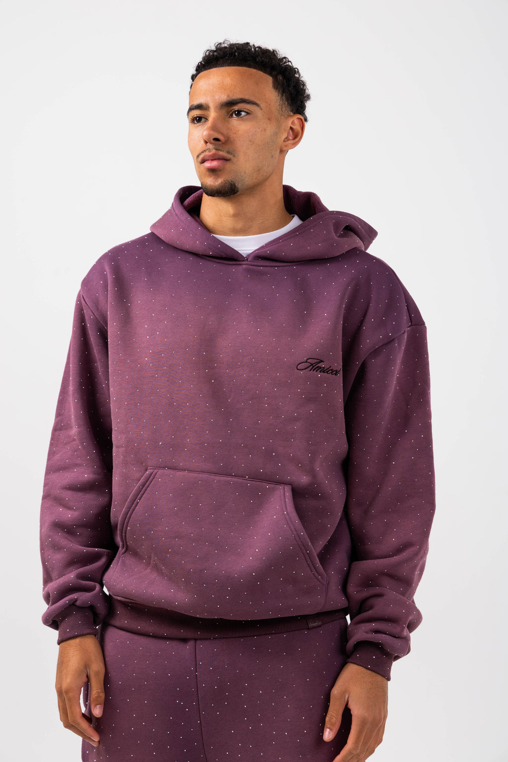Massimo Embellished Hoodie Plum